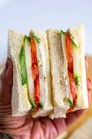 Paneer Sandwich | Yummy O Yummy